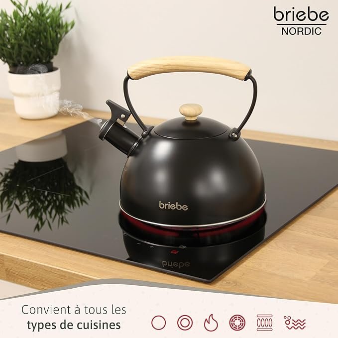 Bouilloire vintage noire avec poignée en bois, marque Briebe, dimensions indiquées.